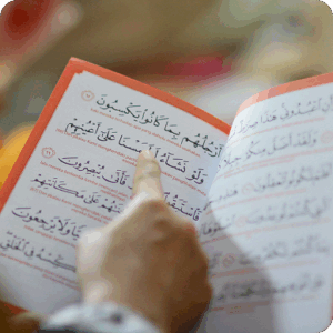 Arabic Language Course